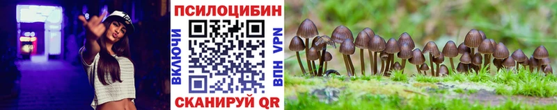 закладка blacksprut зеркало Псилоцибиновые грибы MAGIC MUSHROOMS Красноярск